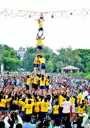 Dahi Handi Festival Human Tower Reaching for Pot of Curd HD phone wallpaper