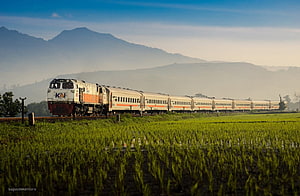 KAI passenger train crossing a lush green rice paddy with misty mountains in the background HD wallpaper
