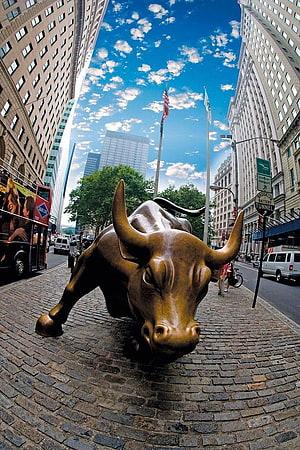 Charging Wall Street Bull Statue on Cobblestone Street in New York City HD phone wallpaper