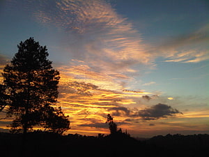 Golden Sunset Sky with Silhouetted Pine Trees and Dramatic Clouds HD wallpaper