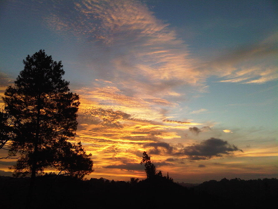 Golden Sunset Sky with Silhouetted Pine Trees and Dramatic Clouds HD wallpaper
