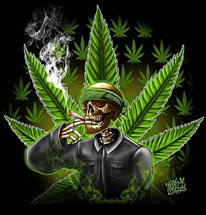 Skull Smoking Joint With Green Bandana Surrounded By Cannabis Leaves HD phone wallpaper