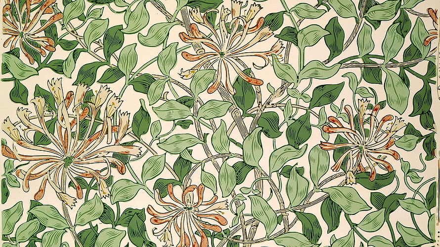 Aesthetic Movement Floral Pattern with Green Leaves and Orange Blossoms HD wallpaper