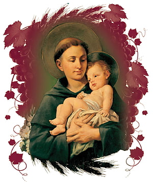 St. Anthony of Padua Holding the Christ Child in a Renaissance Style Painting HD phone wallpaper