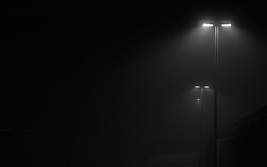 Monochrome Street Lamps Illuminating a Thick Foggy Night Scene HD wallpaper
