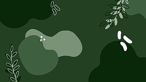 Sage Green Abstract Botanical Illustration with Minimalist Leaf Branches and Organic Shapes HD wallpaper