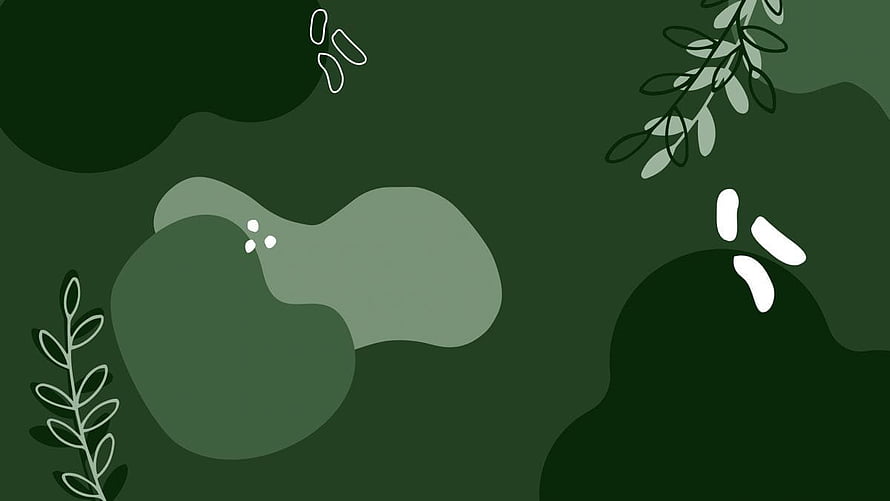 Sage Green Abstract Botanical Illustration with Minimalist Leaf Branches and Organic Shapes HD wallpaper