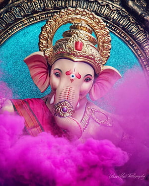 Ganpati Bappa Murti Adorned in Gold Crown and Pink Holi Colors HD phone wallpaper