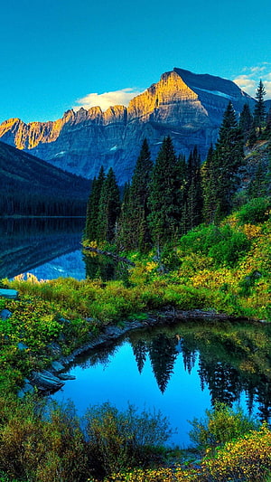 Majestic Mountain Peak Reflected in a Serene Alpine Lake Surrounded by Evergreen Forest HD phone wallpaper