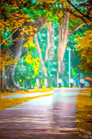 Vibrant Autumn Park Path with Lush Green and Golden Foliage HD phone wallpaper