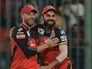 Virat Kohli and Ben Cutting Celebrate in Royal Challengers Bangalore Red Jersey HD wallpaper