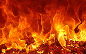 Intense Close-Up of Burning Flames and Glowing Embers HD wallpaper