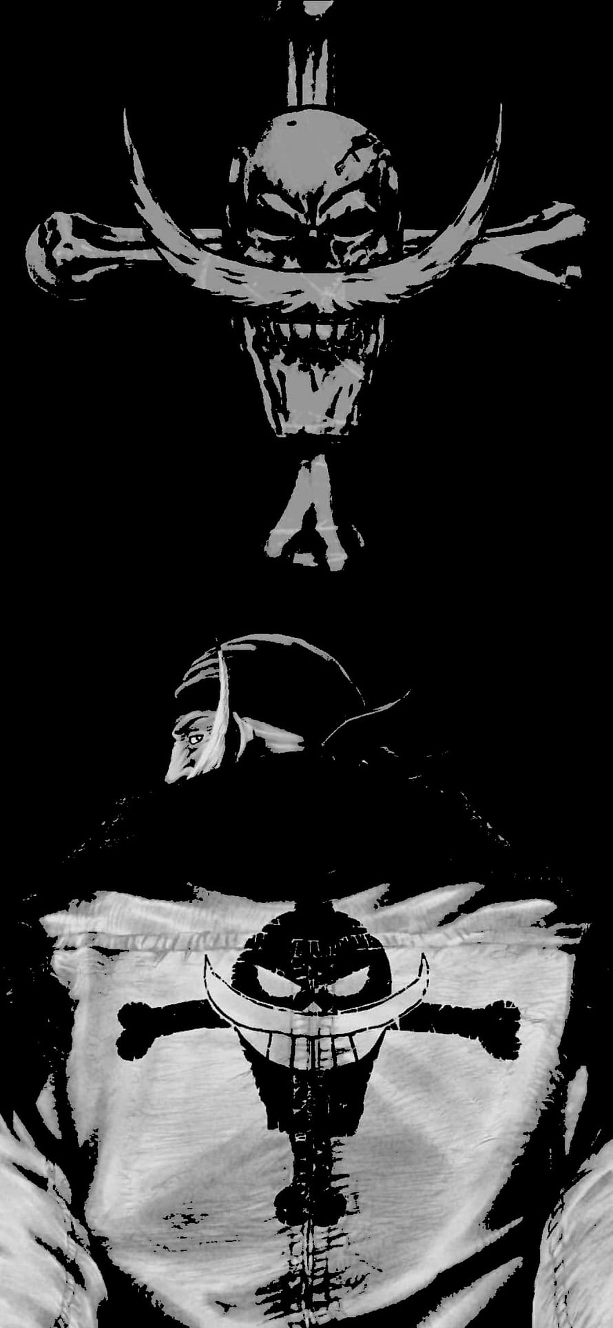 Whitebeard and Jolly Roger Jolly Roger Skull and Crossbones One Piece Anime Illustration HD phone wallpaper
