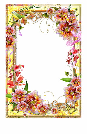 Elegant Floral Border Frame with Bird and Butterfly on Golden Background HD phone wallpaper