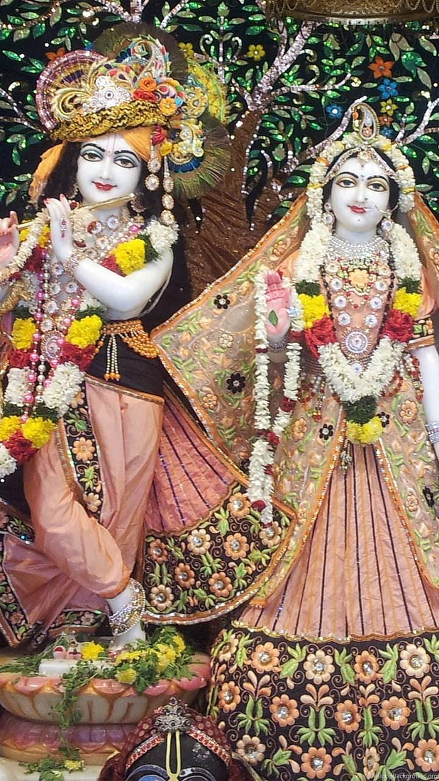 Radha Krishna Temple Deities Adorned in Ornate Garments and Floral Garlands HD phone wallpaper