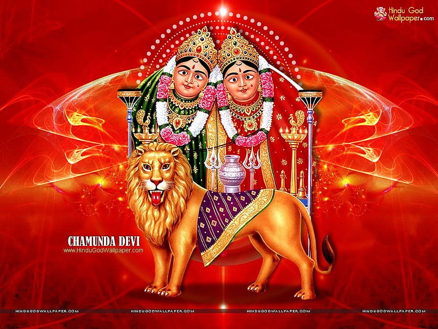 Chamunda Devi Hindu Goddess Artwork with Lion Mount and Red Background HD wallpaper