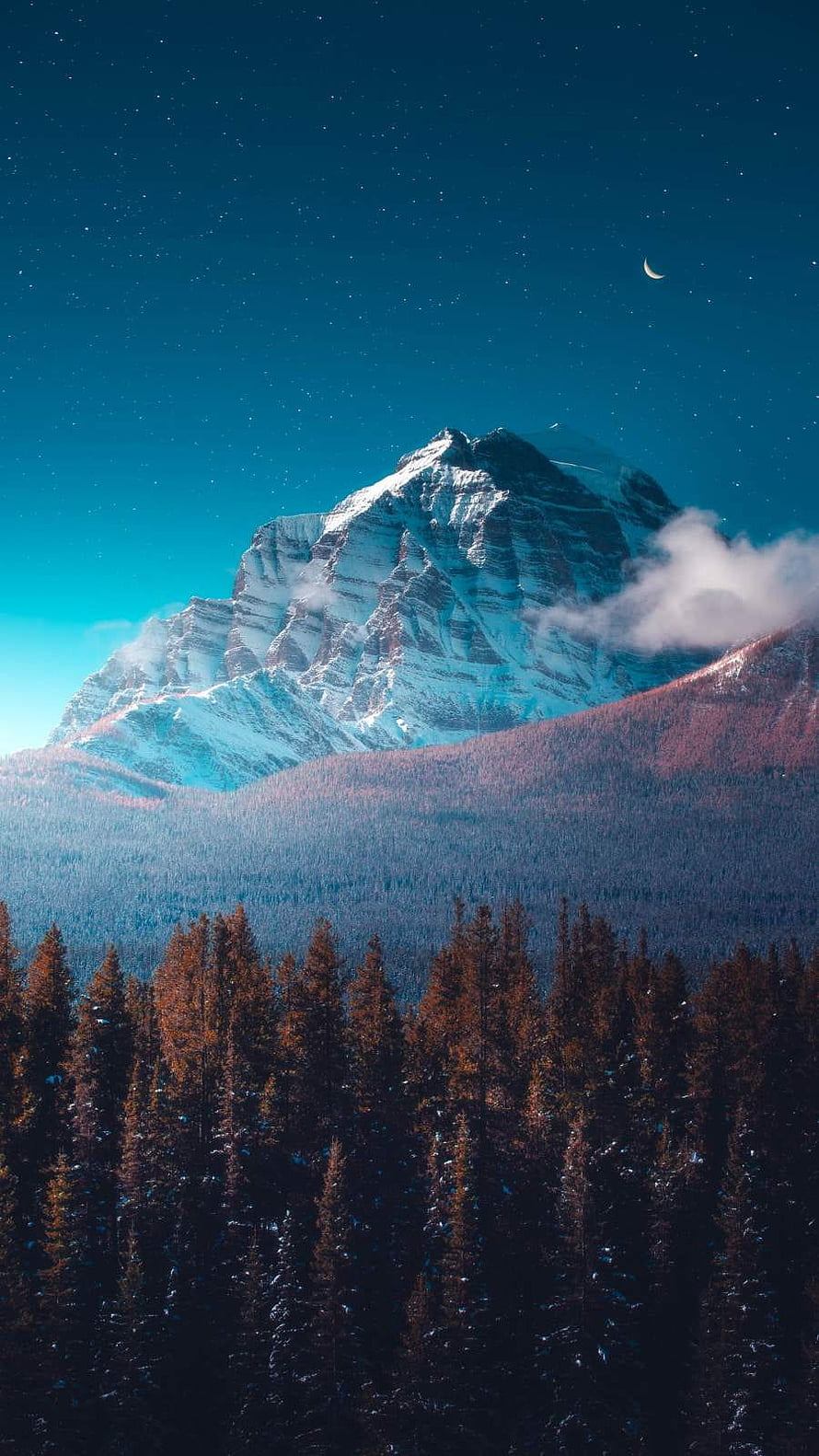 Snow-Capped Rocky Mountain Peak Under Starry Night Sky With Crescent Moon And Pine Forest HD phone wallpaper