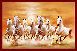 Seven White Horses Galloping in a Golden Sunset Landscape HD wallpaper