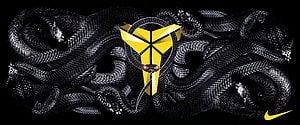 Kobe Bryant Black Mamba Logo with Nike Swoosh on Serpentine Background HD wallpaper