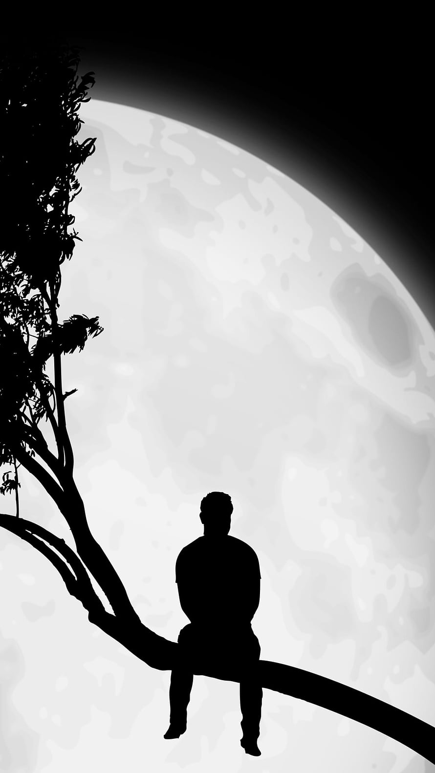 Silhouette of a boy sitting on a tree branch against a large full moon in a black and white night scene HD phone wallpaper