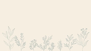 Minimalist Botanical Line Art Border on Cream Background HD wallpaper