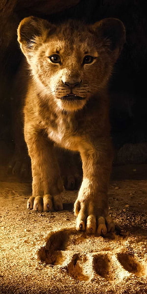 Simba as a cub in The Lion King 2019 cinematic still with paw print in the sand HD phone wallpaper