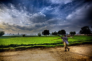 Indian Farmer Walking Through Green Rice Paddy Under Dramatic Stormy Sky HD wallpaper