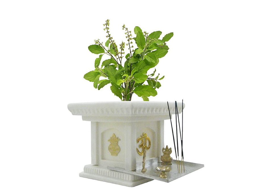 Sacred Tulsi Plant in White Marble Pooja Stand with Brass Om Symbol and Incense Sticks HD wallpaper