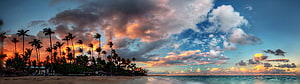 Tropical Beach Sunset with Silhouetted Palm Trees and Dramatic Clouds HD wallpaper