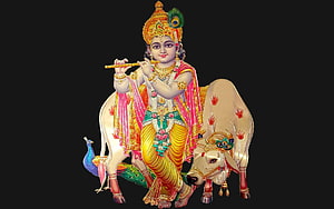 Lord Krishna Riding a White Cow with Flute and Peacock Crown HD wallpaper