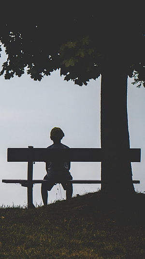 Silhouette of a boy sitting on a park bench under a large tree HD phone wallpaper