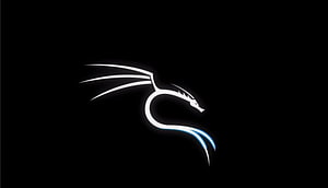 Minimalist White Dragon Line Art on Black Background with Blue Accent HD wallpaper