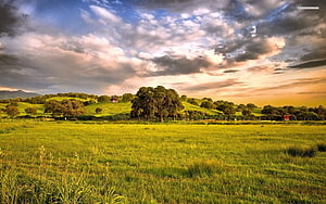 Vast Green Pasture with Rolling Hills and Dramatic Sunset Sky HD wallpaper