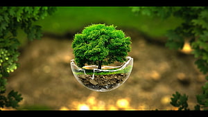 Sustainable Earth Day Concept: Lush Tree Growing from a Cracked Glass Globe HD wallpaper