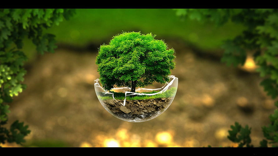 Sustainable Earth Day Concept: Lush Tree Growing from a Cracked Glass Globe HD wallpaper