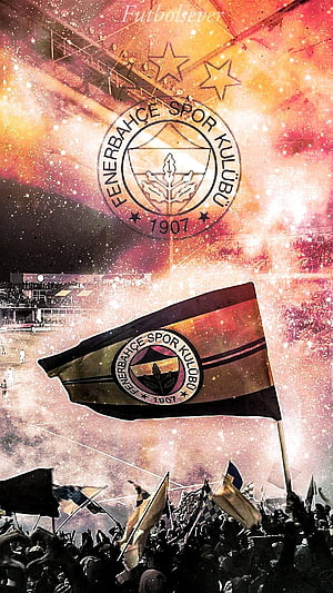 Fenerbahce Spor Kulubu Stadium Flag and Crowd Celebration Wallpaper HD phone wallpaper