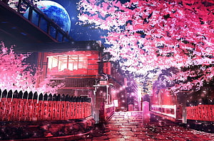 Neon Japanese Street at Night with Glowing Cherry Blossoms and Red Lanterns HD wallpaper