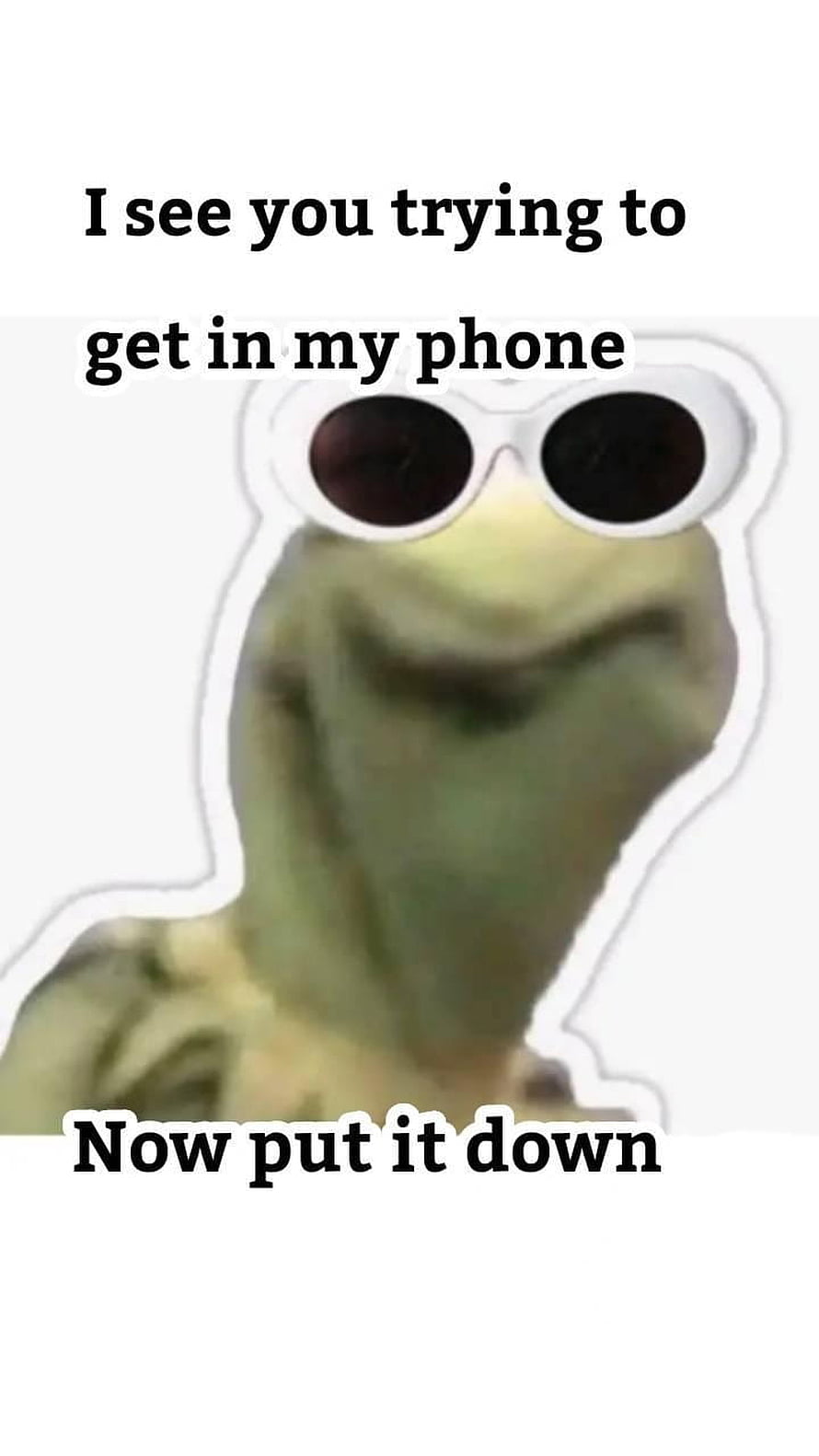 Kermit the Frog Meme with Sunglasses and Phone Privacy Text HD phone wallpaper