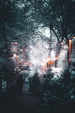 Snowy Winter Street Scene With Festive String Lights And Umbrella HD phone wallpaper