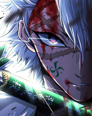 Sanemi Shinazugawa Wind Hashira Demon Slayer Anime Character Close-Up HD phone wallpaper