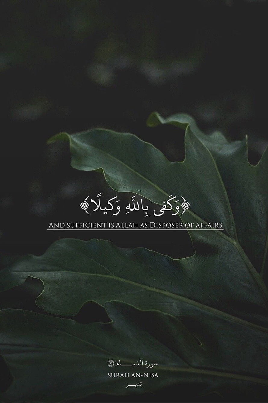 Surah An-Nisa Quran Verse with Arabic Calligraphy on Dark Green Leaf Background HD phone wallpaper