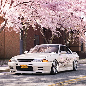 White Nissan Skyline R32 with Cherry Blossom Artwork Parked Under Sakura Trees HD phone wallpaper