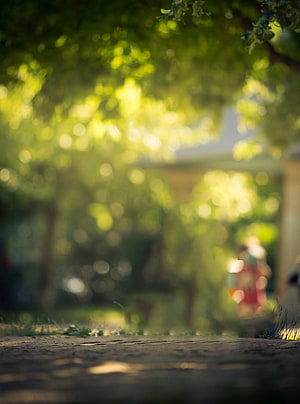 Sunlit Park Path With Soft Bokeh Trees And Dappled Light HD phone wallpaper