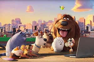 The Secret Life of Pets 2 Animated Movie Scene with Max, Duke, Snowball, and Gidget on a Rooftop HD wallpaper