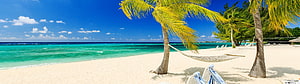 Tropical Beach Scene With Palm Trees, Hammock, and Turquoise Ocean Water HD wallpaper