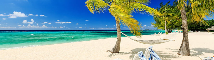 Tropical Beach Scene With Palm Trees, Hammock, and Turquoise Ocean Water HD wallpaper