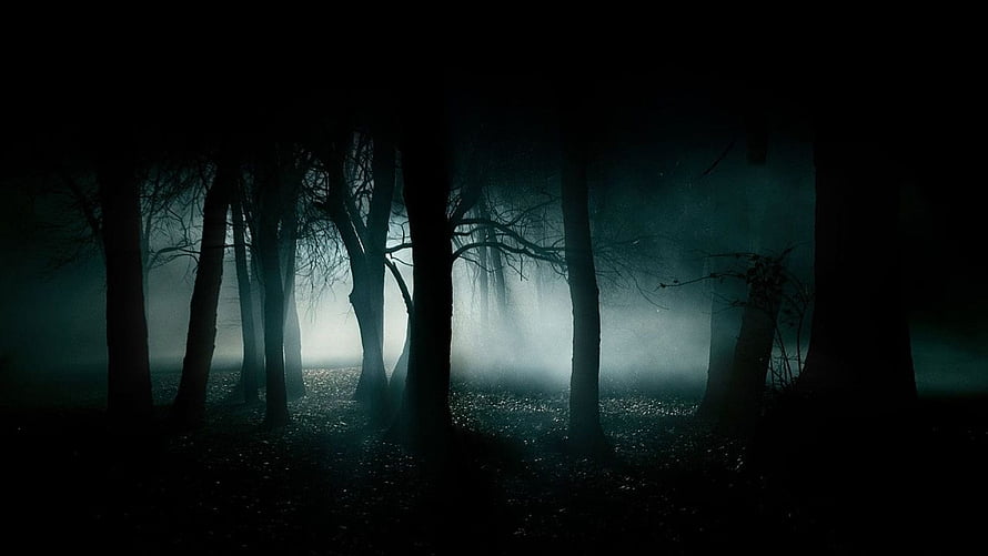 Eerie Foggy Forest at Night with Bare Trees and Mysterious Atmosphere HD wallpaper