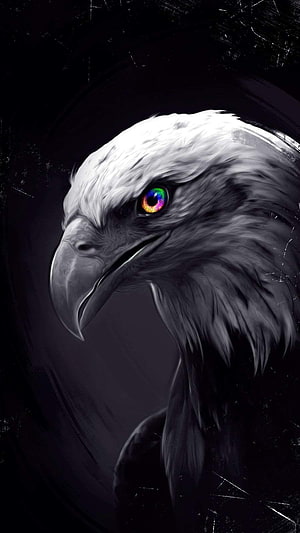 Majestic Eagle Head Portrait with Vibrant Rainbow Eye on Dark Background HD phone wallpaper