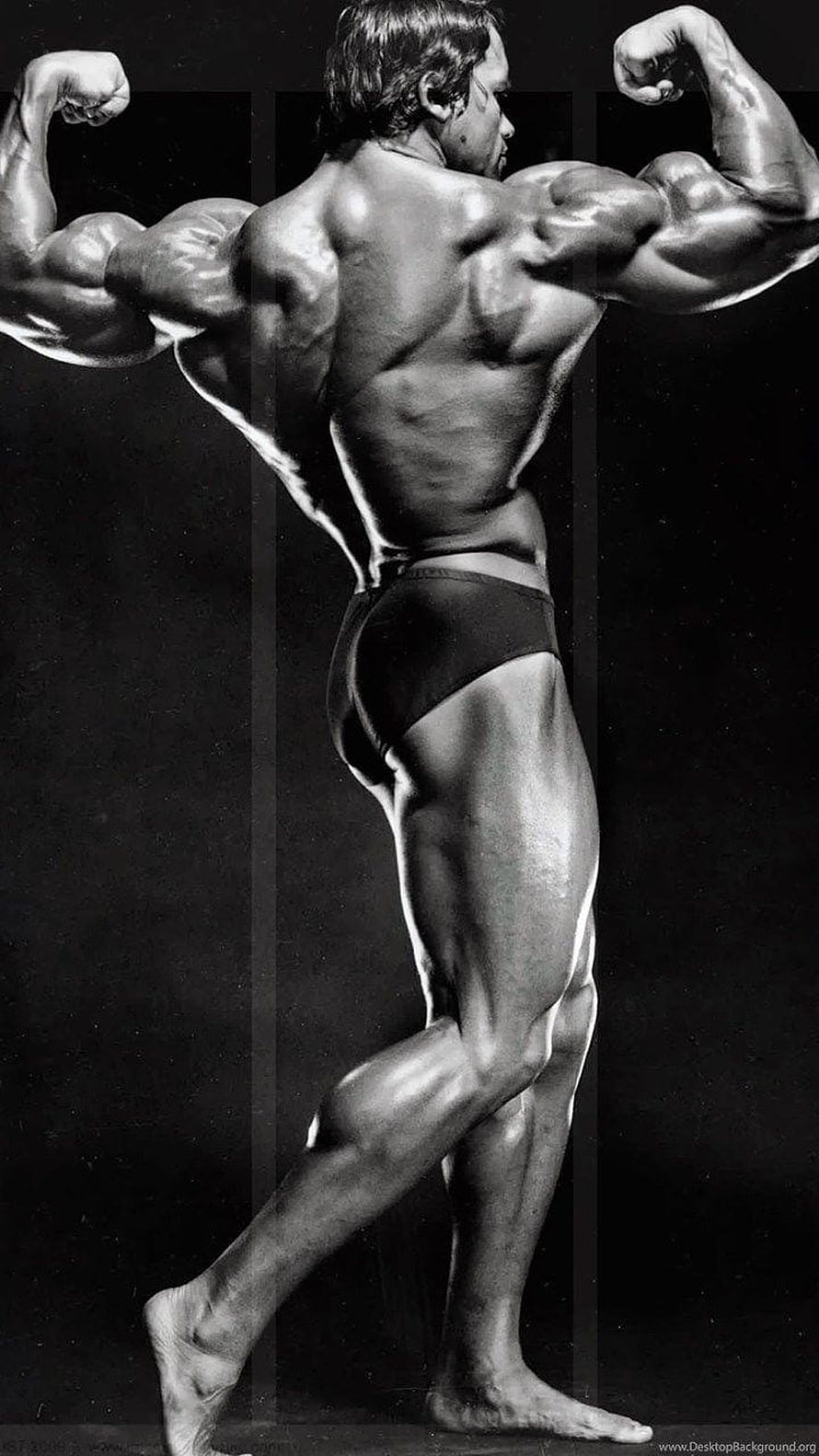 Arnold Schwarzenegger Classic Bodybuilding Pose in Black and White HD phone wallpaper