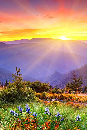 Vibrant Mountain Sunrise With Wildflowers And Golden Rays Over Misty Ridges HD phone wallpaper